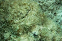 20011001_1_Abu_Ramada_Cave_0036